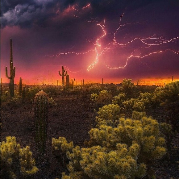 Meet your Posher, Abby - Picture 7 of 12